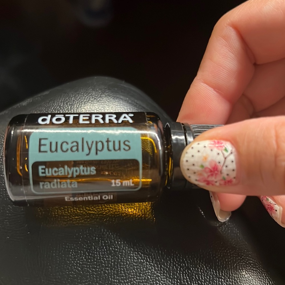 Brand new Eucalyptus